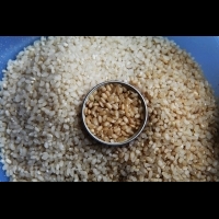 不懂吃「糙米」真的太可惜！「糙米」除了養生、燃燒脂肪，還能生髮！真的完勝白米啊
