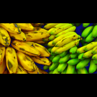 超級水果「香蕉」：控血壓、助排便、抗癌又抗氧化！一根吃進「七大健康功效」，挑選好「蕉」從這裡看！