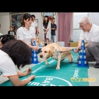 惠光推廣導盲犬體適能　強化中老年犬肌耐力