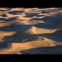「無論路途如何漫長，走到盡頭，總有一口井在那兒！」一同守護撒哈拉沙漠的美麗，來一趟生態旅遊...