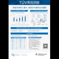 TUV萊因洞察：跨越市場準入關卡，讓更多中國車走向國際