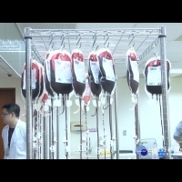 減除白血球血液　降緩病患輸血反映
