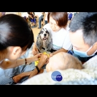 啟動高齡照護多元輔療　治療犬首訪仁馨樂活園區