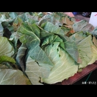 泰利颱風不來了！　蔬菜跌回合理價格