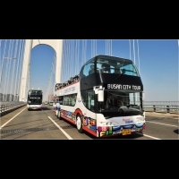 釜山市區觀光巴士體驗！只要一張一日票，任意搭乘三色線，暢玩釜山海岸到市區（路線圖與購買注意事項大公開）