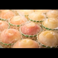 【夏瘋北海道】全裸的水蜜桃甜點　只在北海道的這裡吃得到