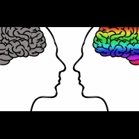 男人與女人，誰比較容易做決定？原來他們都在想這些...竟跟「大腦構造」有關！