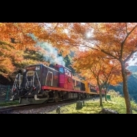 日本賞楓季來了！最受歡迎的紅葉景點 Top 5～～＃2搭乘小火車更有感覺