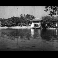 從電影看台中！1959年李行導演《王哥柳哥遊台灣》，除了台中公園為代表，另一個地點竟然是這裡...