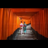 京都迷看過來！市議會拍板　京都觀光客明年10月起得繳「住宿稅」