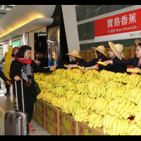 桃機「蕉」點，香Q寶島香蕉國門迎賓，昇恆昌以行動支持臺灣蕉農