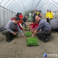 發展永續農業　農委會輔導大溪義和農場成立有機聚落