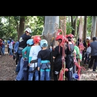 集集公所舉辦「公益攀樹活動」　透過體驗攀樹認識生態環境