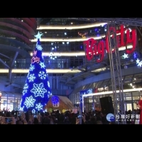 濃濃的聖誕氣氛　15公尺巨型聖誕樹點亮　　