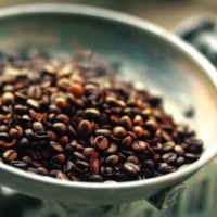 【巴拿馬的咖啡】明亮帶有濃烈果香及花香調！16個國家產地「咖啡風味」總整理～好喝咖啡，在哪裡？