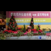 滿滿聖誕紅　台北花市打造「美麗花卉台北城」