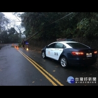 路樹倒塌影響交通　三灣警協助警示