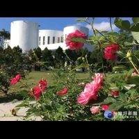 感受浪漫的花香氛圍　台北玫瑰園四季飄香