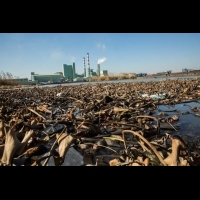 【陸環保禁令】好嚴格！汙水排放標準比台灣多一倍