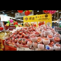 韓國三大人氣水果登台　新鮮直送征服台灣消費者味蕾