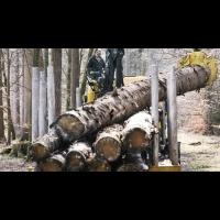 【超級木材】硬到能擋子彈！新技術將木材鍛鍊成鋼