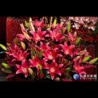 台北花市供貨充足　民眾採買應景花卉可搶便宜