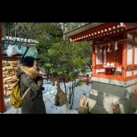 求金運的5個祈願步驟！一起訪「金澤神社」，在冷冽空氣間祈求財運降臨...