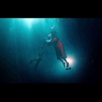《水底情深》奪最佳影片、導演 奧斯卡贏家
