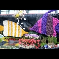 熱帶海洋造景　國際蘭展春之禮讚花藝設計有看頭