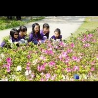 大安森林公園慶祝植樹節　學生「以花代樹」種下杜鵑花