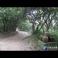 桃市五酒桶山公園開發案　將以生態步道作為替代方案