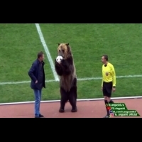俄羅斯足球賽 竟找來大棕熊當開球嘉賓