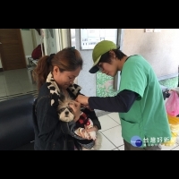 遠離狂犬病　花縣提供高風險地區鄉鎮免費犬貓狂犬病疫苗預防注射