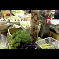 菜價依舊跌！葉菜類2把30元、高麗菜1斤8元