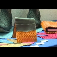 墨西哥傳統養殖漁業新招數 拿魚皮做成皮鞋