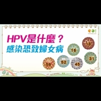 什麼是人類乳突病毒 (HPV) ｜女性 婦科疾病4