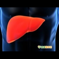脂肪肝不容小覷　恐演變成肝癌
