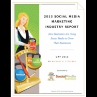  2013年社群媒體行銷產業報告