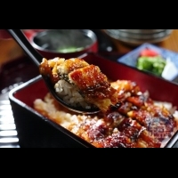 【魚料理PK】台灣醬油台灣鰻　烤岀最道地的日本香