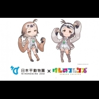 【動漫】《動物朋友》的懶散系新朋友　來自日本平動物園的樹懶娘