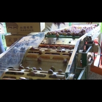 選果機器挑選玉荷包 分級包裝穩定品質