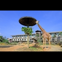 居然能與動物一起住旅館！一定要帶孩子來「亞洲第一座非洲風情生態度假旅館」入住的理由...