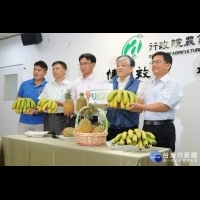 農委會強化香蕉產銷調節措施　籲消費者購買挺農民