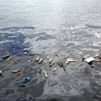 塑戰塑決！今年世界環境日呼籲民眾一同「打敗塑膠污染」