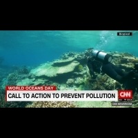 全球珊瑚生態惡化 澳洲砸4億美金搶救