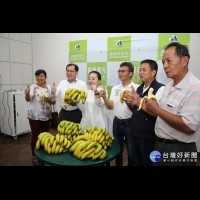 嘉義縣每公斤5元收購香蕉格外品　紓緩產地供貨壓力