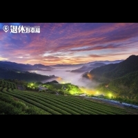 【台灣3大品茶祕境】探訪茶的家鄉，一起品味茶香之美