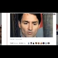 戴假眉毛參加G7？加拿大總理眉毛「移位」引熱議