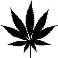 加拿大確定大麻合法化，關於大麻你應知道的五個爭議