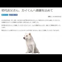 【訃聞】日本電信廣告「白戶家的爸爸」狗明星過世　享年16歲